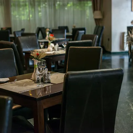 Pansiyon Casa Siqua Bükreş